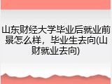 山东财经大学毕业后就业前景怎么样，毕业生去向(山财就业去向)