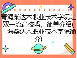 青海柴达木职业技术学院是双一流高校吗，简单介绍(青海柴达木职业技术学院简介)