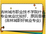 吉林城市职业技术学院什么专业就业比较好，原因是啥(吉林城职好就业专业)