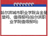 哈尔滨城市职业学院含金量量吗，值得报吗(哈尔滨职业学院值得报吗)