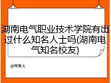湖南电气职业技术学院有出过什么知名人士吗(湖南电气知名校友)