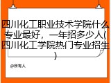 四川化工职业技术学院什么专业最好，一年招多少人(四川化工学院热门专业招生)