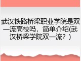 武汉铁路桥梁职业学院是双一流高校吗，简单介绍(武汉桥梁学院双一流？)