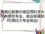 海南比勒费尔德应用科学大学有哪些专业，就业前景如何(海比大专业就业)