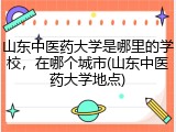 山东中医药大学是哪里的学校，在哪个城市(山东中医药大学地点)