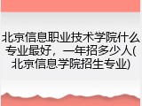 北京信息职业技术学院什么专业最好，一年招多少人(北京信息学院招生专业)