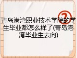 青岛港湾职业技术学院的学生毕业都怎么样了(青岛港湾毕业生去向)