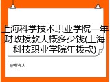 上海科学技术职业学院一年财政拨款大概多少钱(上海科技职业学院年拨款)