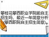 攀枝花攀西职业学院能自主招生吗，最近一年简章分析(攀西职院自主招生简章)