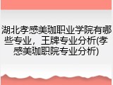 湖北孝感美珈职业学院有哪些专业，王牌专业分析(孝感美珈职院专业分析)