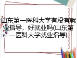 山东第一医科大学有没有就业指导，好就业吗(山东第一医科大学就业指导)