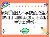 漯河职业技术学院的招生人数和计划解读(漯河职院招生计划解析)