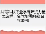 共青科技职业学院师资力量怎么样，名气如何(师资名气如何)