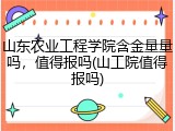 山东农业工程学院含金量量吗，值得报吗(山工院值得报吗)