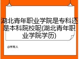 湖北青年职业学院是专科还是本科院校呢(湖北青年职业学院学历)