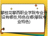 攀枝花攀西职业学院专业开设有哪些,特色在哪(攀院专业特色)