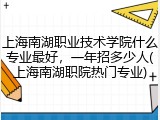 上海南湖职业技术学院什么专业最好，一年招多少人(上海南湖职院热门专业)
