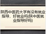 陕西中医药大学有没有就业指导，好就业吗(陕中医就业指导好吗)