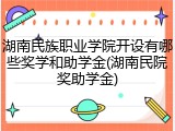湖南民族职业学院开设有哪些奖学和助学金(湖南民院奖助学金)