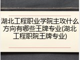 湖北工程职业学院主攻什么方向有哪些王牌专业(湖北工程职院王牌专业)