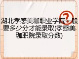 湖北孝感美珈职业学院一般要多少分才能录取(孝感美珈职院录取分数)