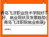 青岛飞洋职业技术学院好不好，就业现状及发展趋势(青岛飞洋职院就业前景)