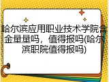 哈尔滨应用职业技术学院含金量量吗，值得报吗(哈尔滨职院值得报吗)