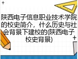 陕西电子信息职业技术学院的校史简介，什么历史与社会背景下建校的(陕西电子校史背景)