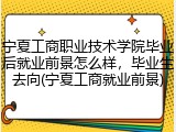 宁夏工商职业技术学院毕业后就业前景怎么样，毕业生去向(宁夏工商就业前景)