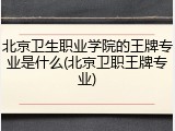 北京卫生职业学院的王牌专业是什么(北京卫职王牌专业)