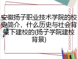 安徽扬子职业技术学院的校史简介，什么历史与社会背景下建校的(扬子学院建校背景)