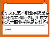 山东文化艺术职业学院是专科还是本科院校呢(山东文化艺术职业学院是专科吗)