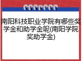 南阳科技职业学院有哪些奖学金和助学金呢(南阳学院奖助学金)