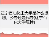辽宁石油化工大学是什么级别，公办还是民办(辽宁石化大学属性)