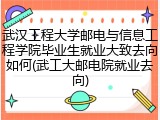 武汉工程大学邮电与信息工程学院毕业生就业大致去向如何(武工大邮电院就业去向)