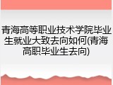 青海高等职业技术学院毕业生就业大致去向如何(青海高职毕业生去向)