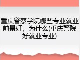 重庆警察学院哪些专业就业前景好，为什么(重庆警院好就业专业)