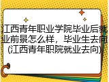 江西青年职业学院毕业后就业前景怎么样，毕业生去向(江西青年职院就业去向)