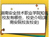 湖南安全技术职业学院知名校友有哪些，校史介绍(湖南安院校友校史)