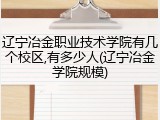 辽宁冶金职业技术学院有几个校区,有多少人(辽宁冶金学院规模)
