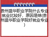 贵州盛华职业学院什么专业就业比较好，原因是啥(贵州盛华职业学院好就业专业)