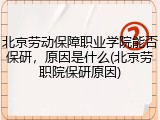 北京劳动保障职业学院能否保研，原因是什么(北京劳职院保研原因)