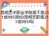 昆明艺术职业学院是不是211或985高校(昆明艺职是211或985吗)