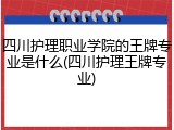 四川护理职业学院的王牌专业是什么(四川护理王牌专业)