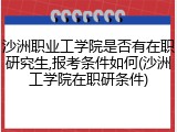 沙洲职业工学院是否有在职研究生,报考条件如何(沙洲工学院在职研条件)