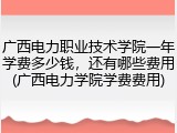广西电力职业技术学院一年学费多少钱，还有哪些费用(广西电力学院学费费用)