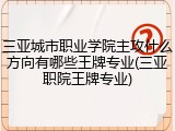 三亚城市职业学院主攻什么方向有哪些王牌专业(三亚职院王牌专业)