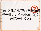 山东文化产业职业学院有哪些专业，几个校区(山东文产院专业校区)