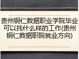 贵州铜仁数据职业学院毕业可以找什么样的工作(贵州铜仁数据职院就业方向)