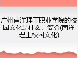 广州南洋理工职业学院的校园文化是什么，简介(南洋理工校园文化)